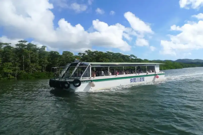 仲間川マングローブクルーズの遊覧船