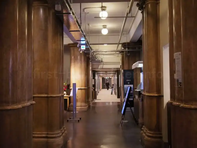 北海道大学総合博物館の館内