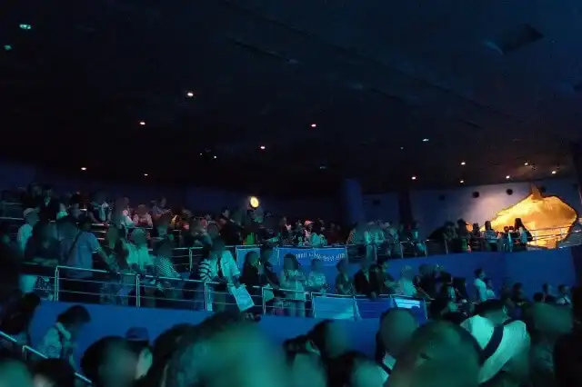 美ら海水族館 ジンベイザメの餌やりタイム