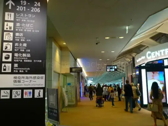 万年一人旅バックパッカーが考える、一人旅のメリットを4つ挙げてみる