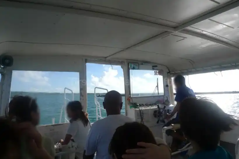 仲間川クルーズの船内