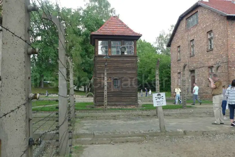 アウシュヴィッツ・鉄条網