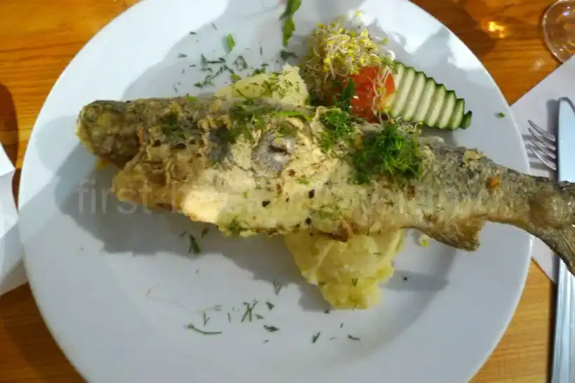 クラクフU Babci Malinyの魚