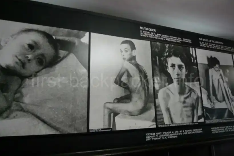 アウシュヴィッツ・人体実験の少年少女の写真