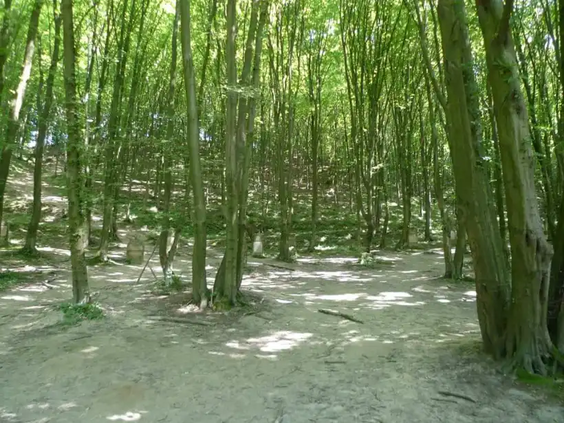 カジミエシュ・ドルニのユダヤ人墓地