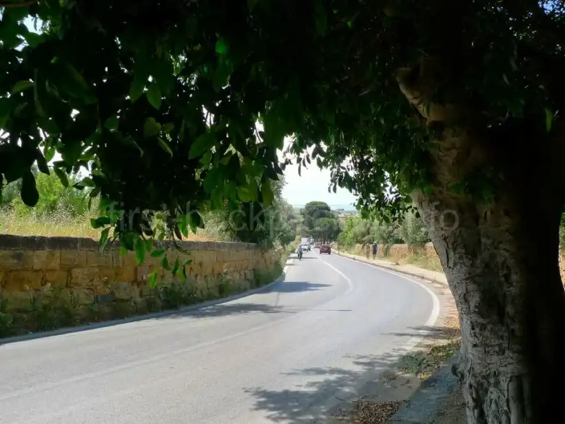 アグリジェントの州立考古学博物館から神殿の谷への坂道