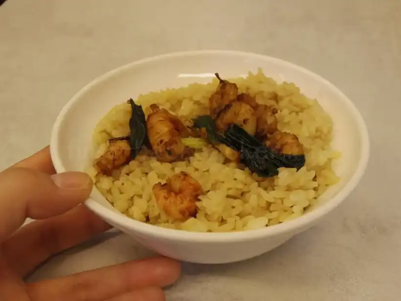 台南 矮仔成蝦仁飯のエビ飯