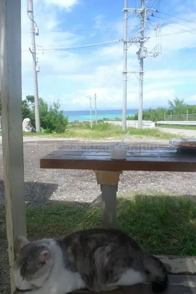 波照間島・黒蜜ソフト