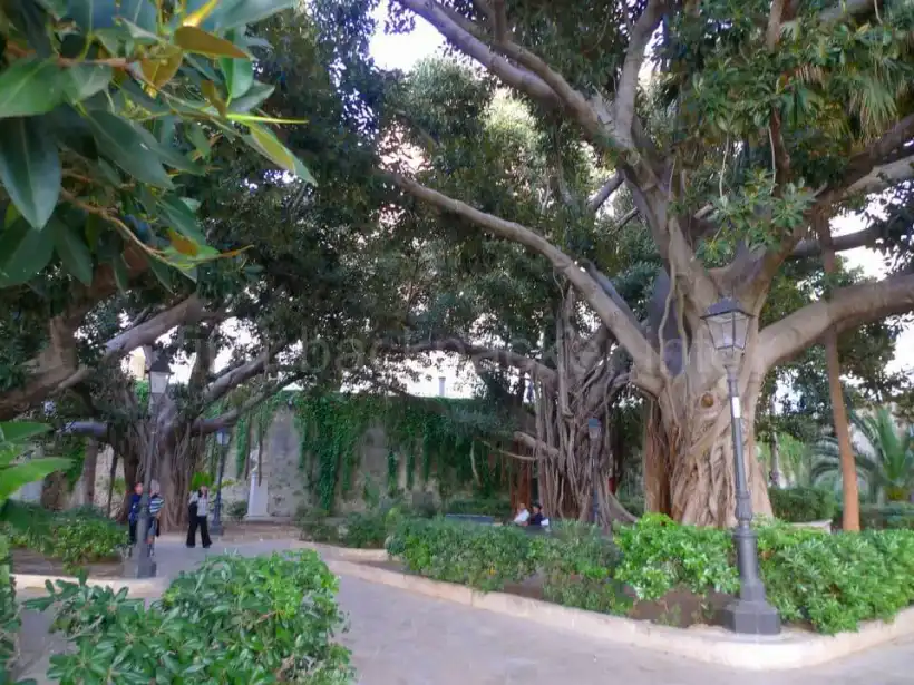 シラクーサの旧市街（オルティージャ島）の公園