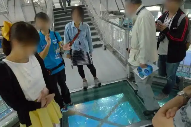 美ら海水族館 巨大水槽の説明ツアー