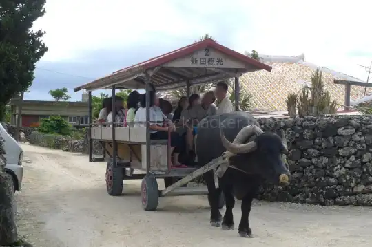じゃらん遊び体験で沖縄シュノーケリングを激安予約！個別手配よりおトクだった