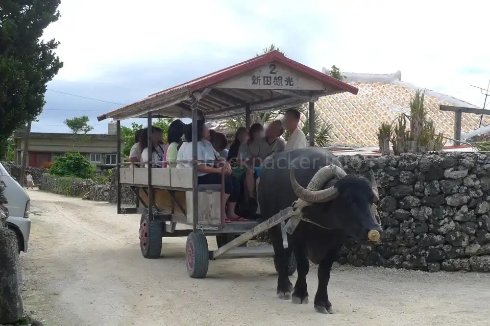 じゃらん遊び体験で沖縄シュノーケリングを激安予約!個別手配よりおトクだった