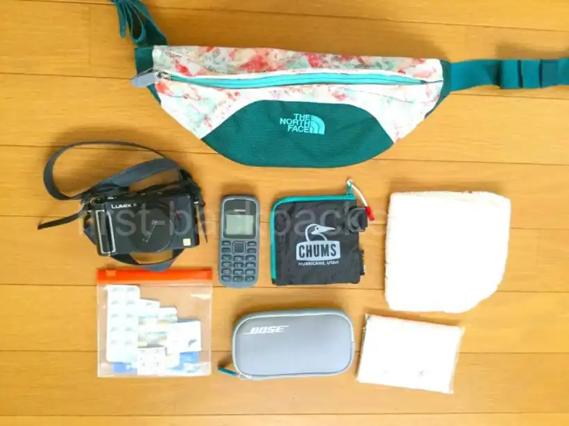 THE NORTH FACEのグラニュール ウエストバッグに入ったもの・カメラ、携帯など